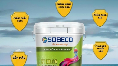 Sơn Sobeco BMT – Xu Hướng Người Dân Buôn Ma Thuột Chọn Sơn Việt Chất Lượng Cao