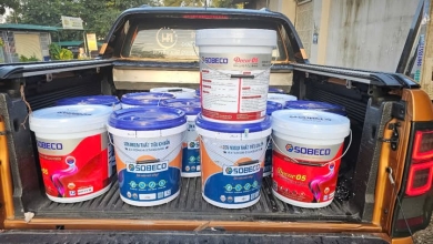 Huyền Anh - Đại Lý Sơn Đắk Lắk Uy Tín – Giải Pháp Sơn Bền Đẹp Cho Công Trình Tại Buôn Ma Thuột