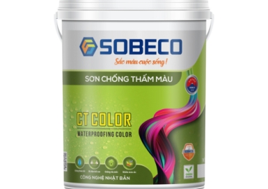Sơn Chống Thấm Màu – CT Color