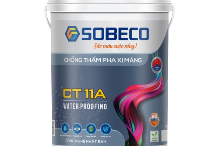 Sơn Chống Thấm Pha Xi Măng CT11A